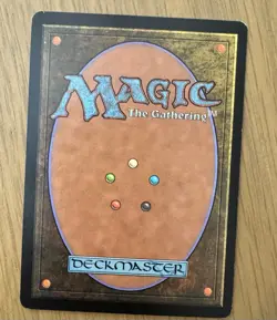 MTG Long-Term Plans Scourge Regular LP - Image 2