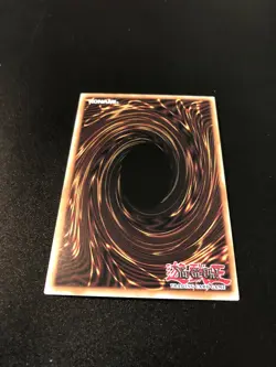 1x (LP) Zoodiac Hammerkong - MACR-EN047 - Common - 1st Edition YuGiOh - Image 2