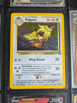 💰 1999 Pokemon Jungle Holo Rare Pidgeot 8/64 LP/NM- - Image 1