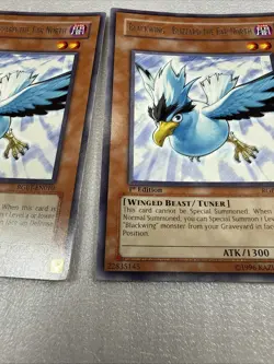 X3 Yu-Gi-Oh! Blackwing - Blizzard the Far North #RGBT-EN010 1st Edition NM - Image 3