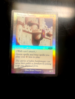Sunscape Familiar Planeshift Foil Also promo! beautiful un played wit Must see!! - Image 1
