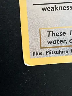 Articuno, Moltres, and Zapdos (Wizards of the Coast Promo) Jumbo Card Regular - Image 2