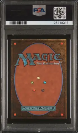 2025 Magic MTG Promos Bhujerba, Floating City #0041 Championship-Winner PSA 10 - Image 2