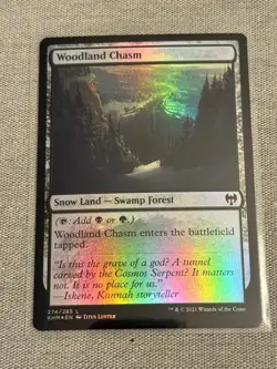 FOIL Woodland Chasm - Kaldheim (KHM) - Image 1