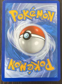 Pokemon TCG Charizard V SWSH050 - Black Star Promo FA Holo Full Art - Image 2