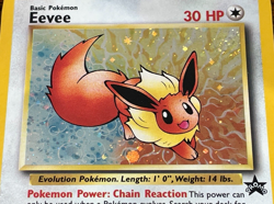 Eevee #11 Pokemon TCG 1999 Black Star Holo Promo WOTC. Near mint or better. - Image 2
