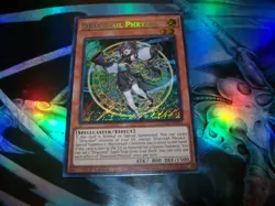 Dracotail Phryxul 1st Edition Secret Rare DOOD-EN023 Yu-Gi-Oh! - Image 1