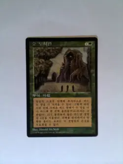 MTG Sylvan Library 4th Edition FBB Korean - Image 1