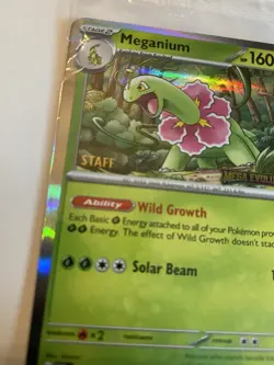 Pokemon Mega Evolution Staff Promo 4-Card Set Sealed - Image 3