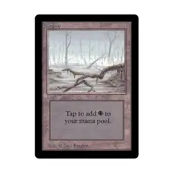 WOTC MtG Beta Swamp - Version A (L) NM - Image 1