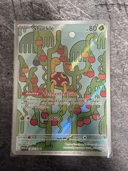 Shuckle 136/132 - ME01: Mega Evolution Pokemon Illustration Rare Holo NM - Image 1