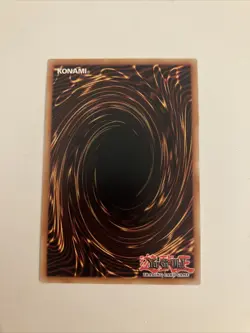 BACH-EN013 - D/D Gryphon - Super Rare 1st Edition - YuGiOh! - Image 2