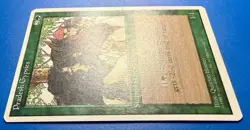 1 BANNED MTG Pradesh G | Fourth Edition | 1995 | Magic The Gathering |NM - Image 3