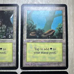 MTG x5 Forest (B) and (A) Alpha Edition Basic Land Magic The Gathering - Image 3