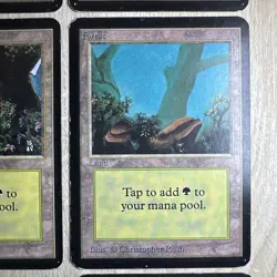 MTG x5 Forest (B) and (A) Alpha Edition Basic Land Magic The Gathering - Image 5