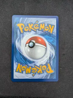 Shuckle 136/132 - ME01: Mega Evolution Pokemon Illustration Rare Holo NM - Image 2