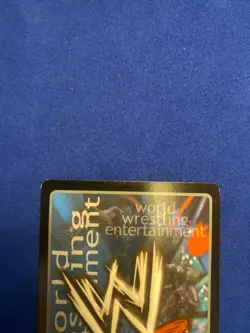 WWE Raw Deal Card Takin Care of Business for The Undertaker - Image 5