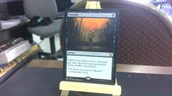 entomb mtg - Image 1