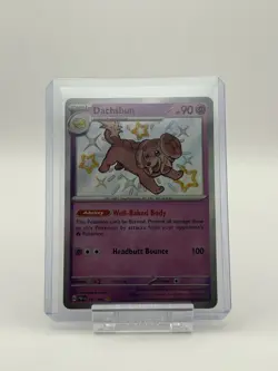 Pokemon TCG Dachsbun Card S&V Paldean Fates 161/091 Near Mint Condition - Image 1