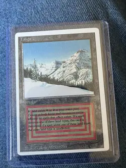 Magic the Gathering Taiga Revised Edition Dual Land Regular Card!! Rare!! EX/NM! - Image 3