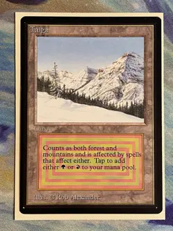 Taiga (IE) International Edition Regular (Rare) - Image 1