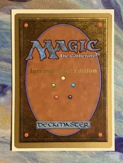 Taiga (IE) International Edition Regular (Rare) - Image 2