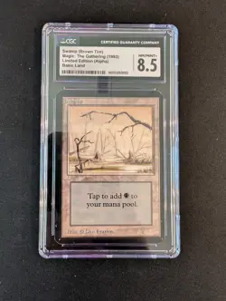 Alpha Basic Land Set of all 10 - Magic the Gathering - MTG - Image 3