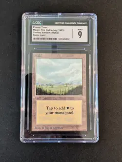 Alpha Basic Land Set of all 10 - Magic the Gathering - MTG - Image 4