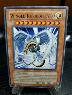 Winged Kuriboh LV10 Rare Yu-Gi-Oh! DP1-EN006 Duelist Pack Jaden Unlimited, LP - Image 1