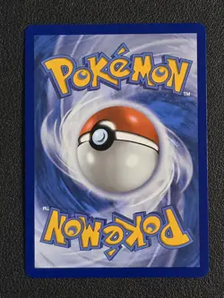 Mega Camerupt EX 022/132 Mega Evolution Holo Rare Pokemon Card NM - Image 2
