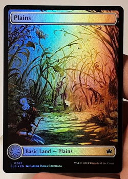 MTG - Bloomburrow - Plains - Full Art - Foil - #0262 - Near Mint - Image 1