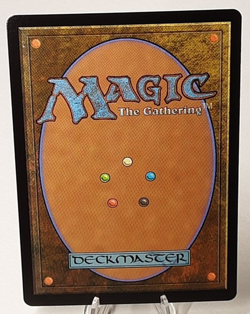 MTG - Bloomburrow - Plains - Full Art - Foil - #0262 - Near Mint - Image 3