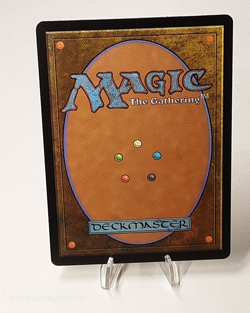 MTG - Bloomburrow - Seedglaive Mentor - #0231 - Playset x4 - Near Mint - Image 3