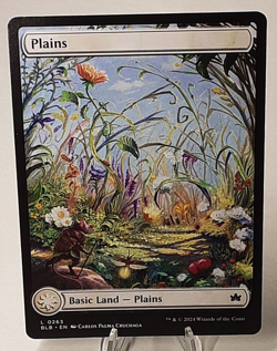 MTG - Bloomburrow - Plains - Full Art - #0263 - Near Mint - Image 1