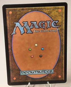 MTG - Bloomburrow - Plains - Full Art - #0263 - Near Mint - Image 3