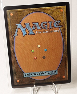 MTG - Bloomburrow - Starlit Soothsayer - Foil - #0115 - Near Mint - Image 3