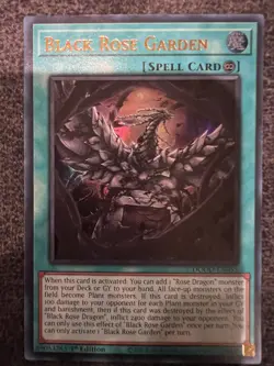 Yugioh Black Rose Garden DOOD-EN055 Ultra Rare 1st Edition NM - Image 1