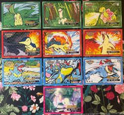 🔥 x10 Lot Rapidash Typhlosion Safari 2.0 Non-TCG Holo Pokemon Cards🔥 - Image 1