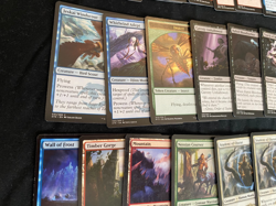 Magic the Gathering MTG card lot of 100+ cards GROUP F - Image 3