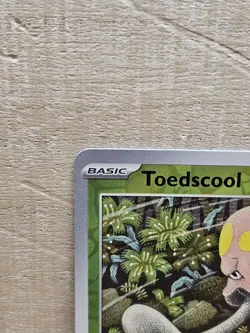 Toedscool 17/142 Reverse Holo Stellar Crown Pokemon Card TCG - Image 3
