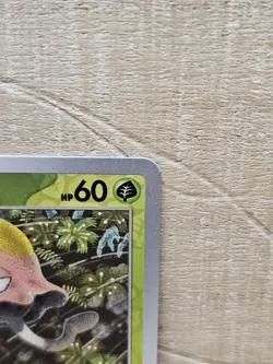 Toedscool 17/142 Reverse Holo Stellar Crown Pokemon Card TCG - Image 4
