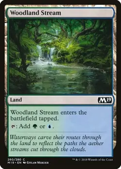 Woodland Stream 4x FOIL M19 MTG Core Set 2019 Common MINT land green blue - Image 1