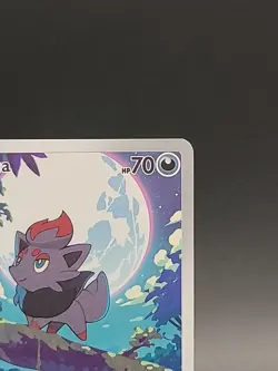 Pokemon Zorua 142/086 White Flare Illustration Rare Pokemon TCG Card NM 2025 - Image 4