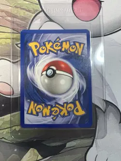 Cyndaquil 57/111 Neo Genesis 1st Edition 2000 Pokemon Card - Image 2