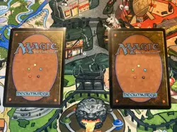 Exodus - Complete Set - Magic the Gathering 143 cards NM MTG - Image 3