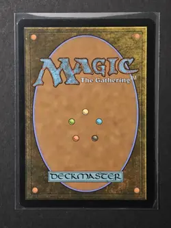 MTG Marvel's Spiderman Spider-Punk R (0210) (Borderless) Non-foil - Image 2