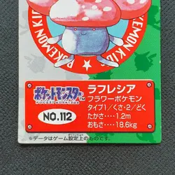 Early 1995 Raffresia Pokemon Kids Card Nintendo "Squirrel Charizard Bulbasaur Ch - Image 3