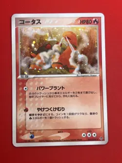 3set!! NM-/SW) Pokemon Card Special Set Japanese Torkoal Yanmega Probopass Holo - Image 4