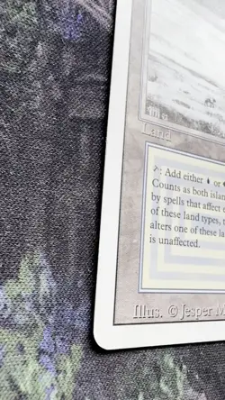 MTG: Tundra Revised Dual Land ~ NEAR MINT - Image 2