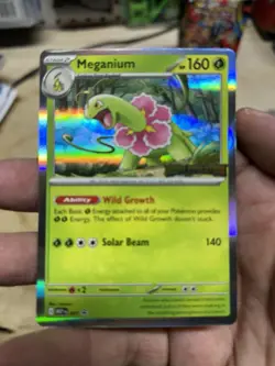 Meganium Mega Evolution Stamped Build and Battle Promo 001 Pokemon IN HAND NEW - Image 1